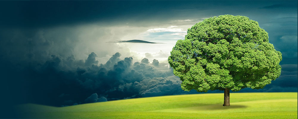 生态 Eco社区-生态 Eco板块-知识互鉴-地理信息云